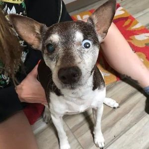 Meet your Posher, Holly